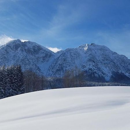 'Dasbergblick' Altaussee Kültér fotó