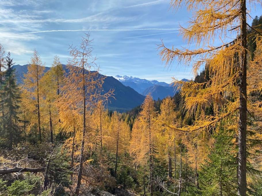 'Dasbergblick' Altaussee Kültér fotó